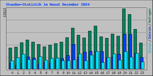 Stunden-Statistik im Monat Dezember 2024