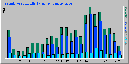 Stunden-Statistik im Monat Januar 2025