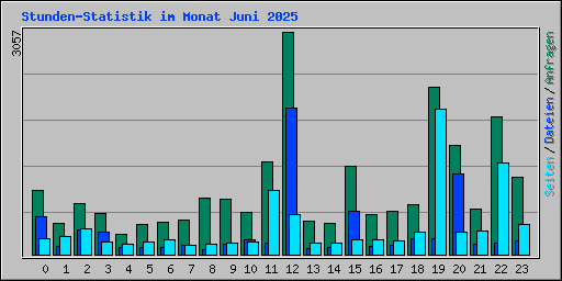 Stunden-Statistik im Monat Juni 2025