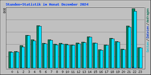 Stunden-Statistik im Monat Dezember 2024