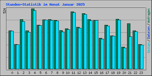 Stunden-Statistik im Monat Januar 2025