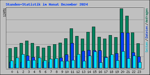 Stunden-Statistik im Monat Dezember 2024