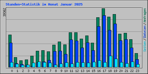 Stunden-Statistik im Monat Januar 2025