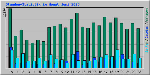 Stunden-Statistik im Monat Juni 2025